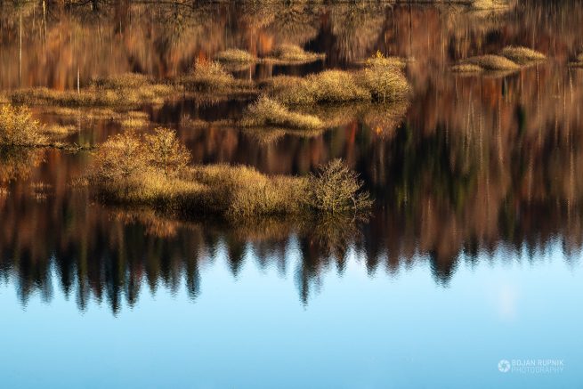 Odsev na poplavljenem Planinskem polju s čudovitimi jesenskimi barvami