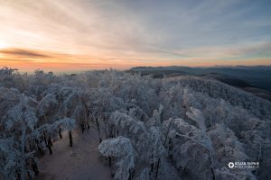 Sončni zahod na zasneženimi drevesi