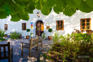 Lipa in dvorišče z vhodom v Kendov dvorec